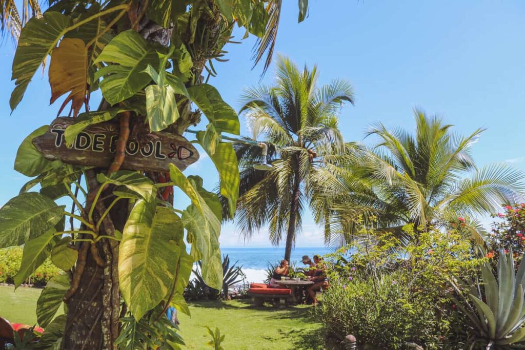 amor de mar in the best beach town in costa rica