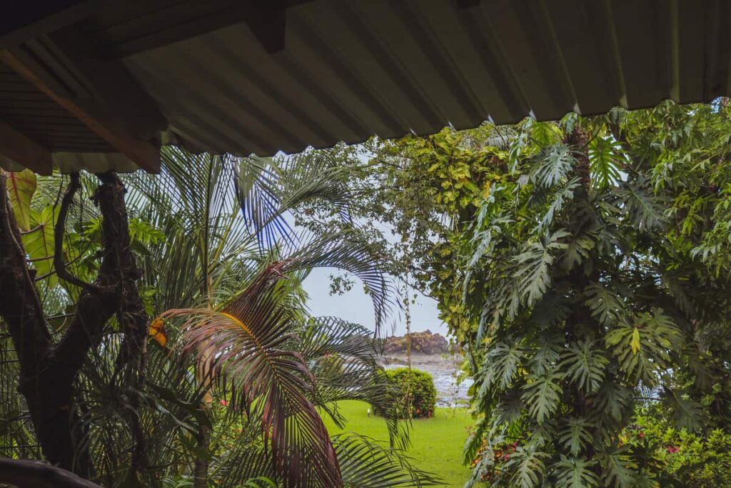 jungle house in the best beach town in costa rica