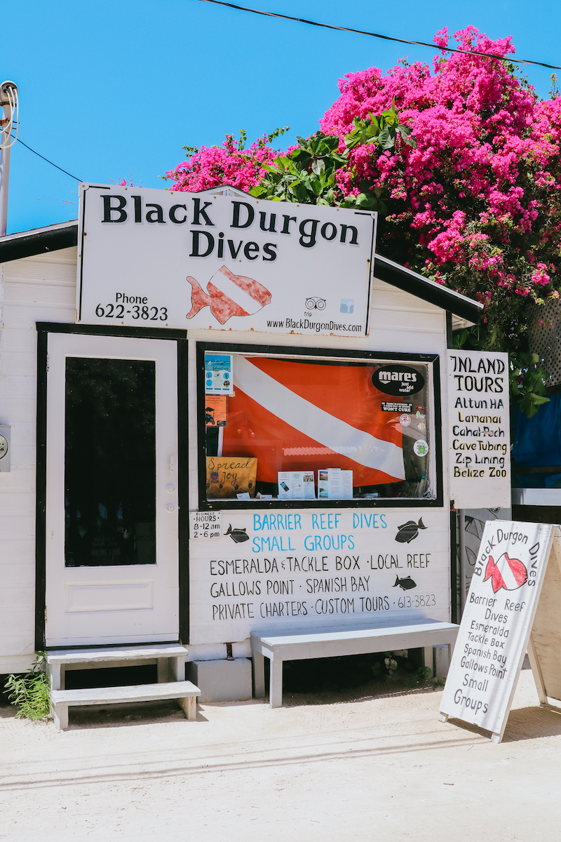 ambergris caye or caye caulker