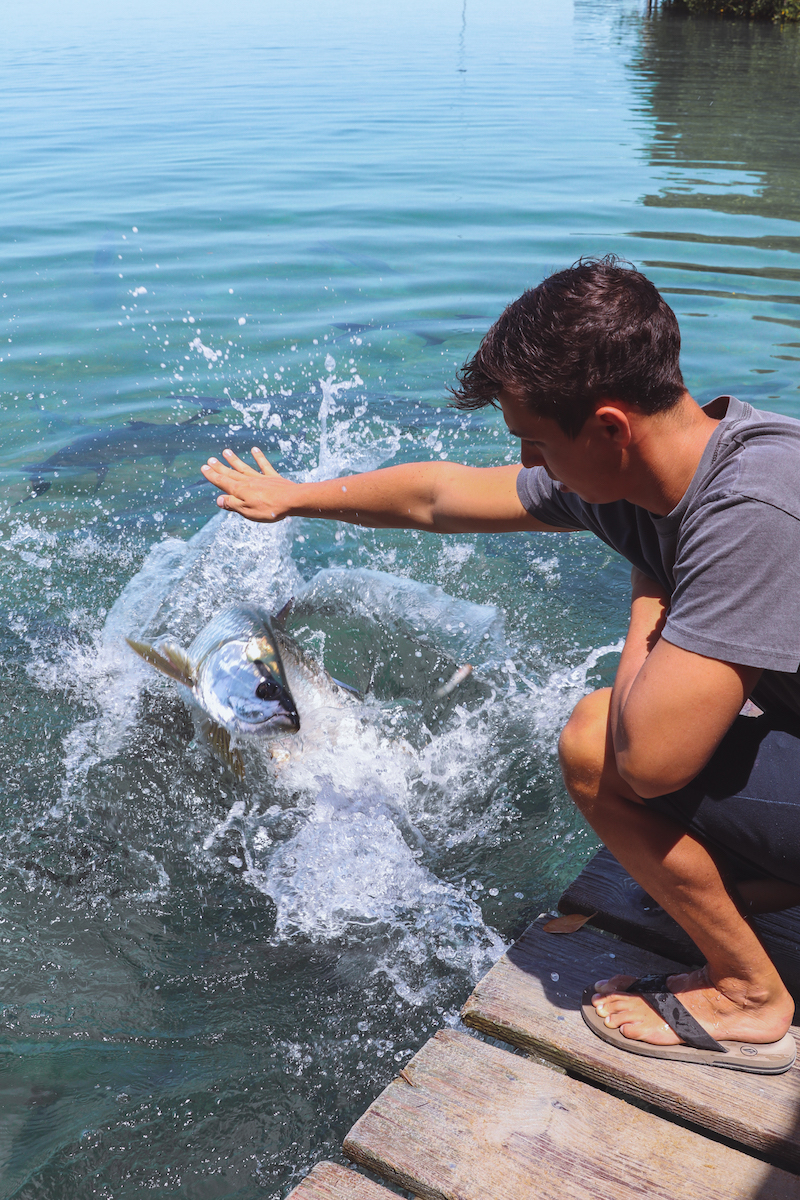 ambergris caye or caye caulker