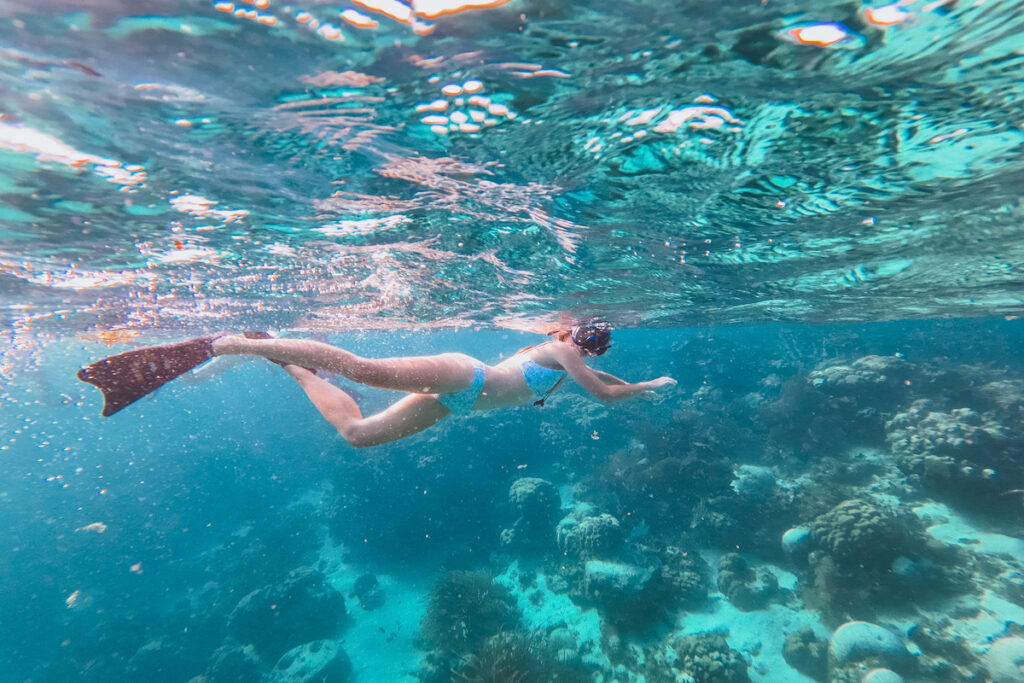 snorkeling in ambergris caye or caye caulker