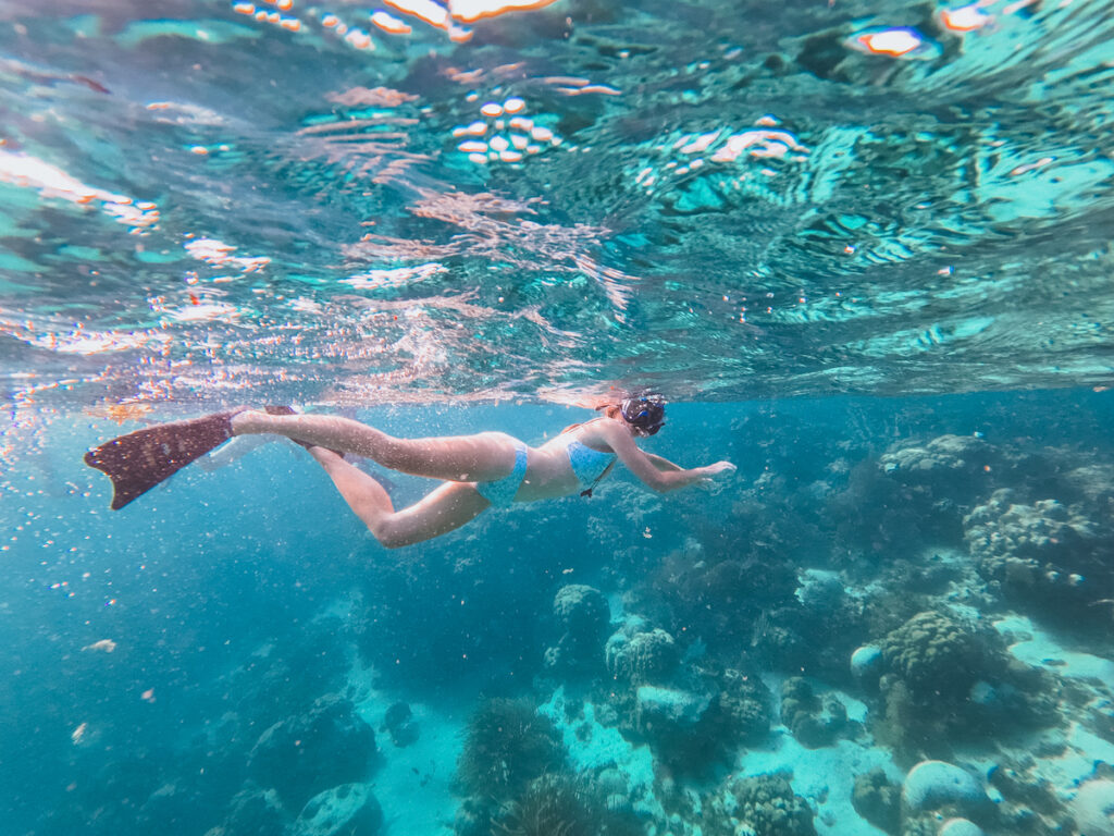 50 photos of belize snorkeling