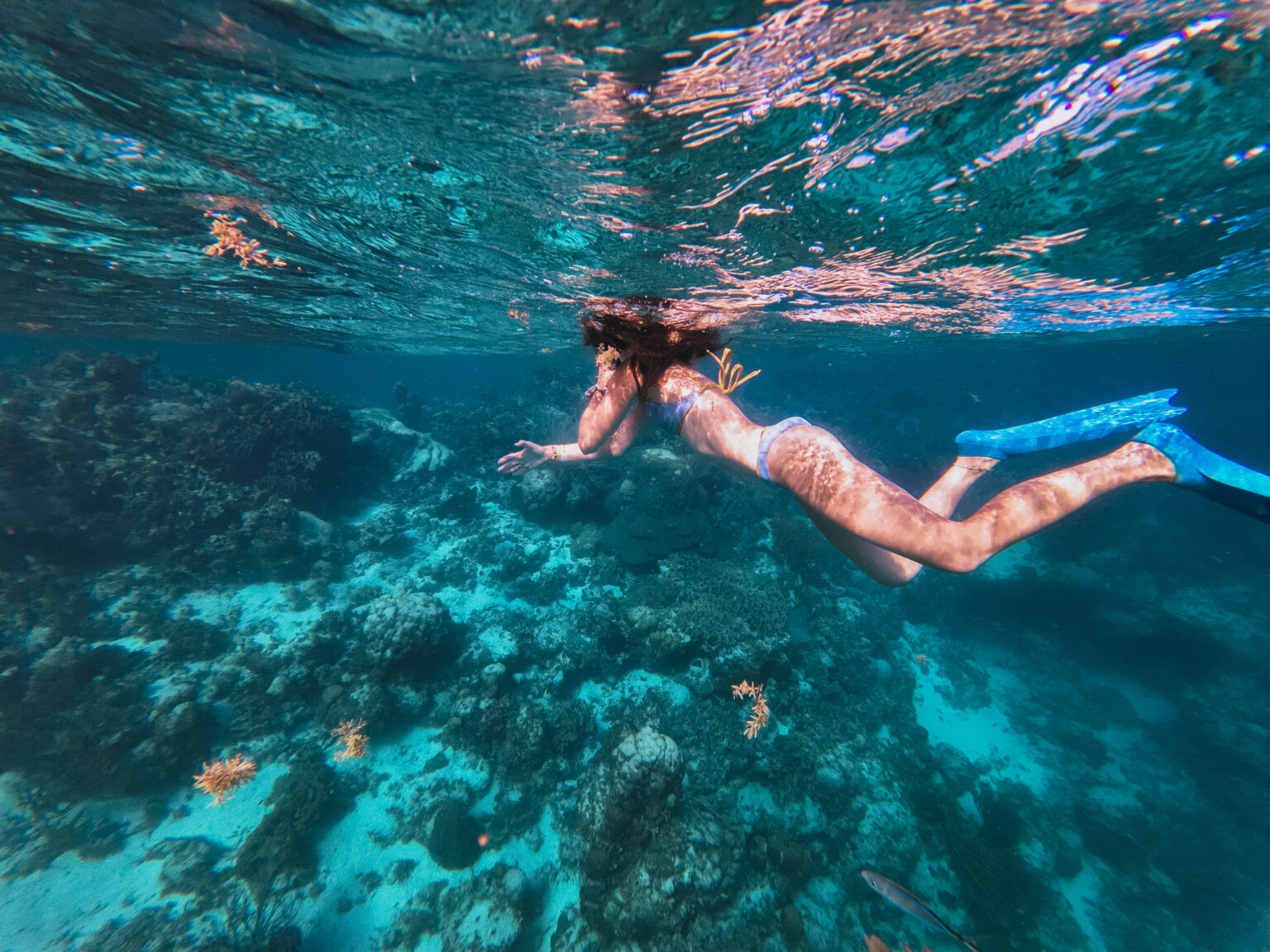 The Best Belize Travel Itinerary Explore The Cayes the-best-belize-travel-itinerary-explore-the-cayes