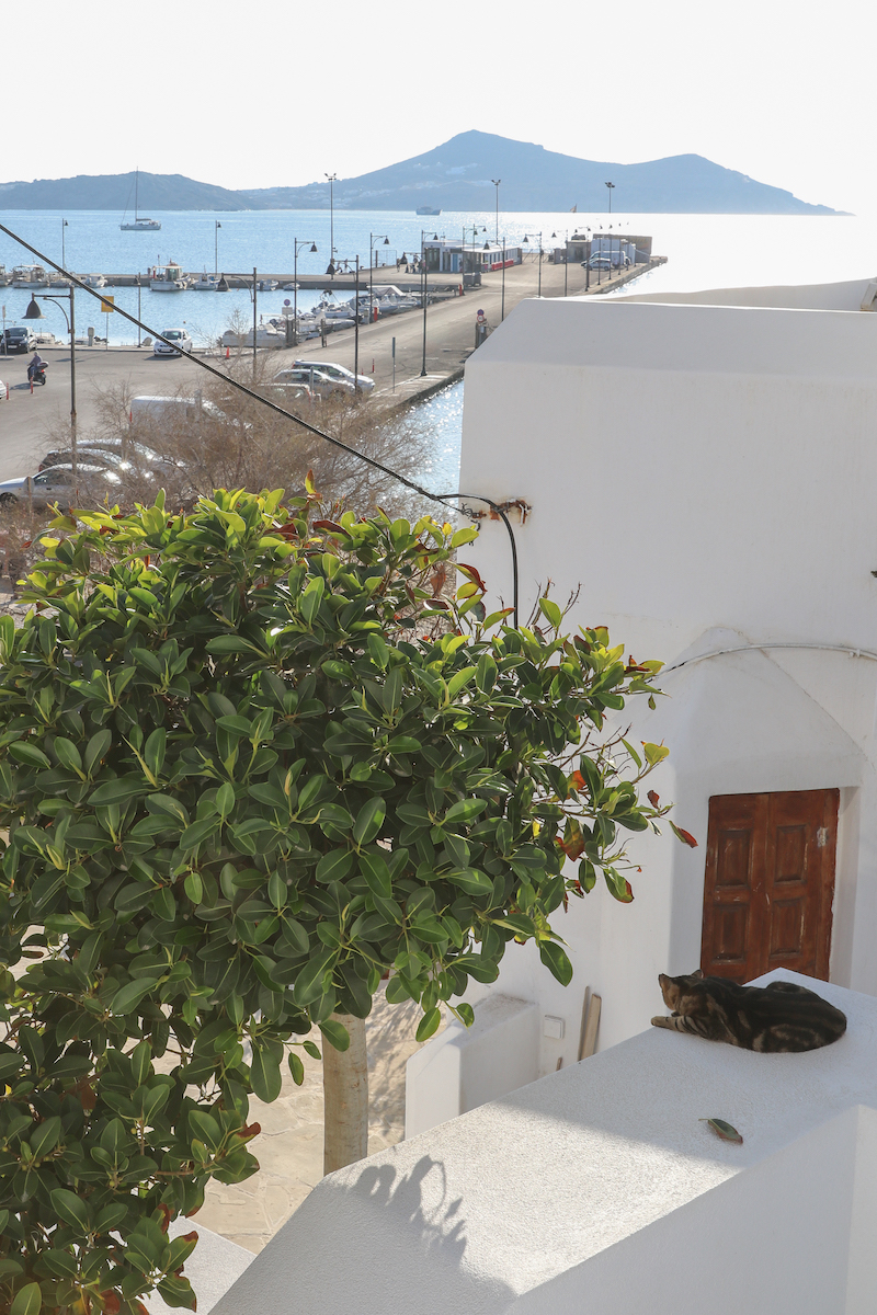 where to stay in naxos greece