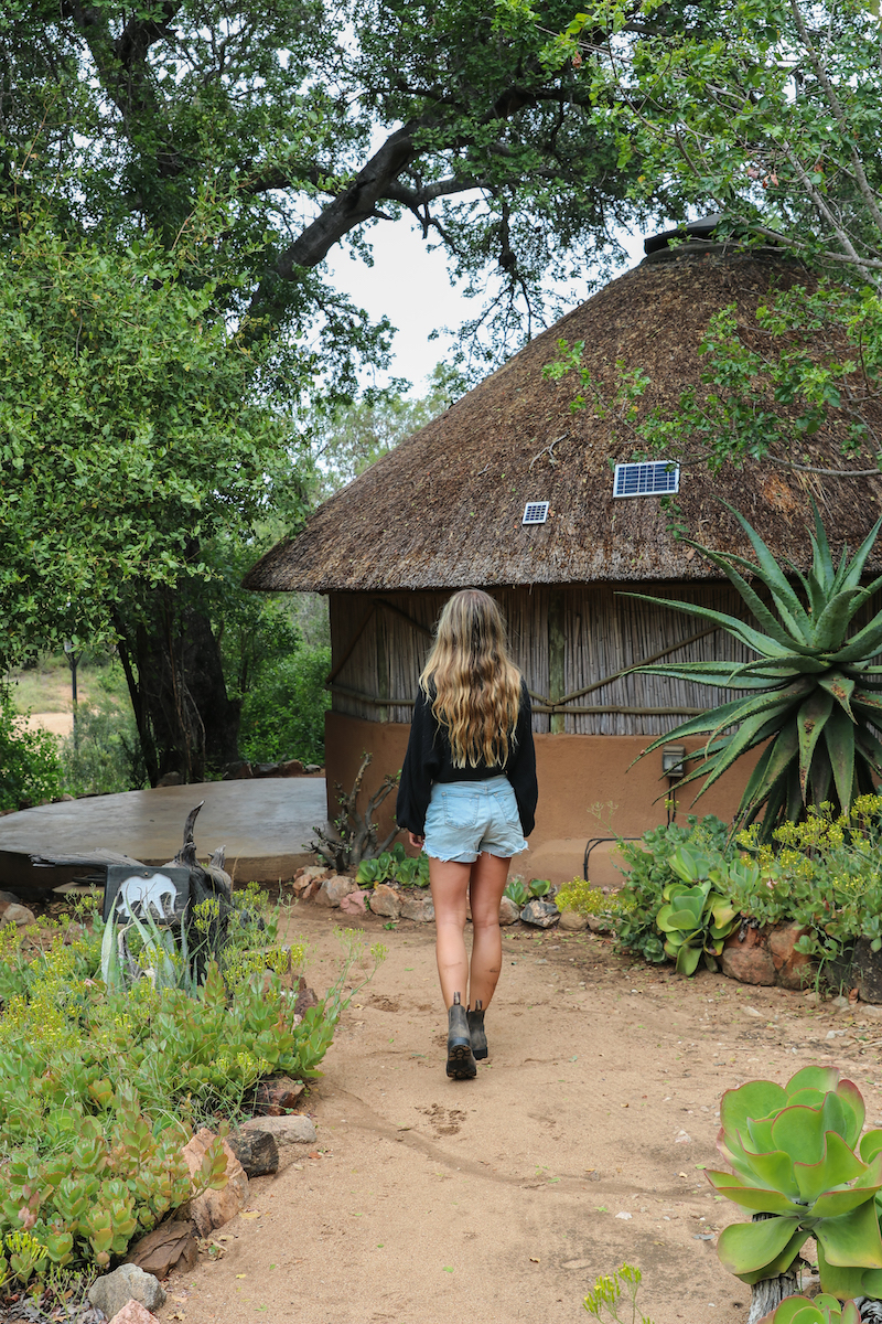 Where to safari in south Africa