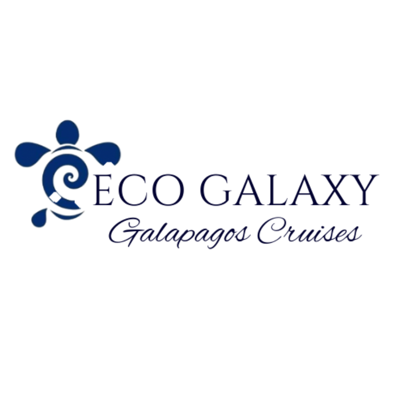 client portfolio eco galaxy