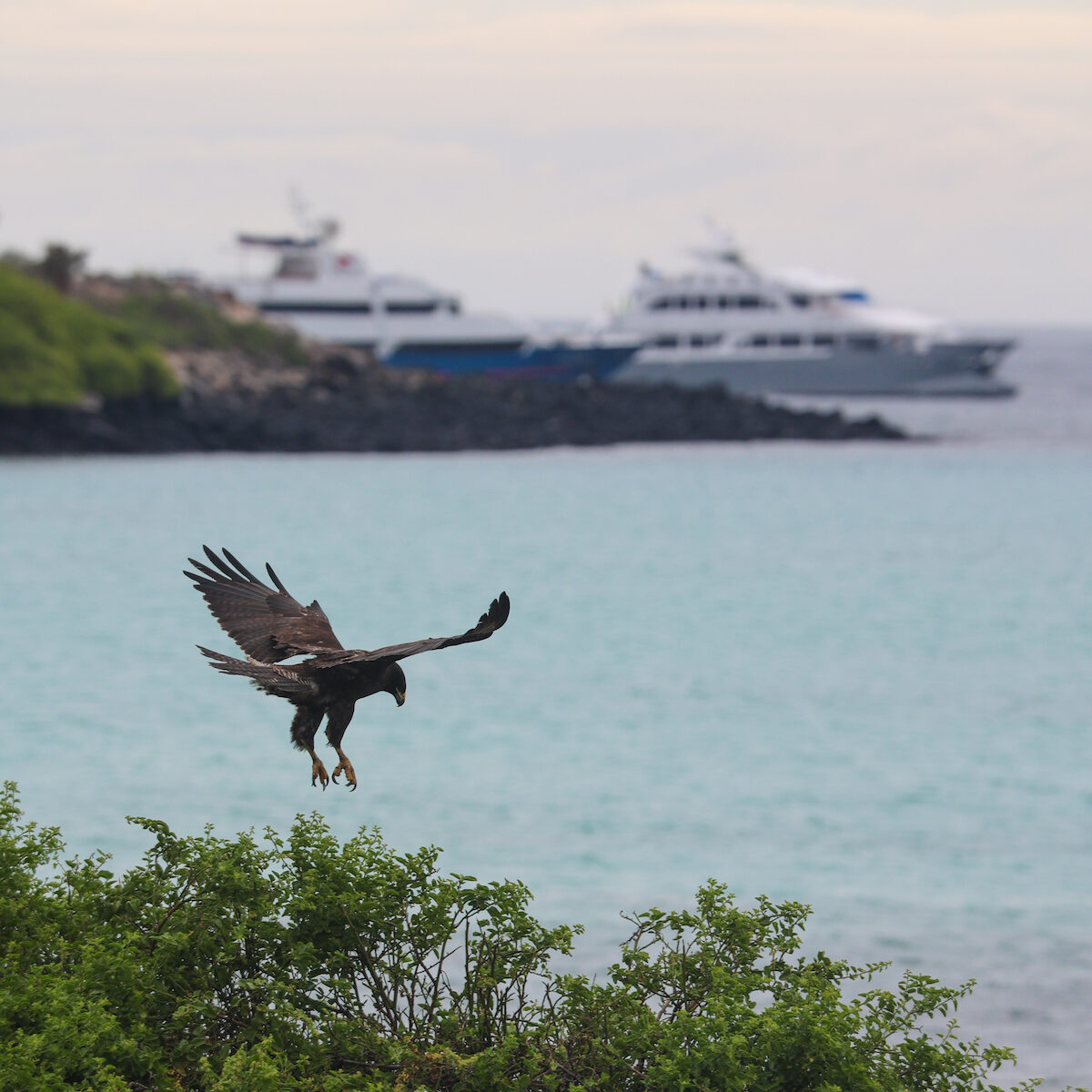 travel to the galapagos islands